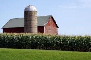 Farm Liability Insurance in Albuquerque, Bernalillo County, NM